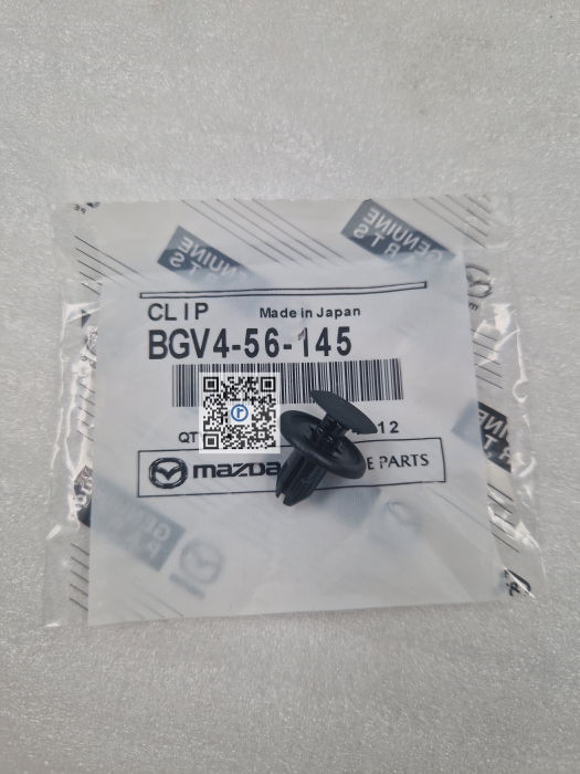 CLIPS BARA SPATE - BGV456145 [1]