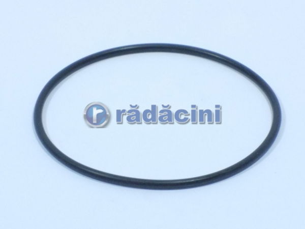 Oring pompa apa 15 - producator KOS cod 94580509 [1]
