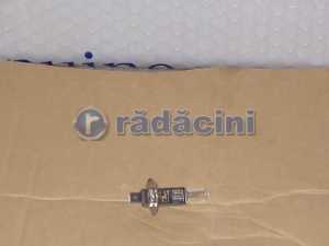 ACCESORII - Bulb H1 (12V55W)