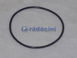 TRANSMISIE - Inel flansa diferential 96243159