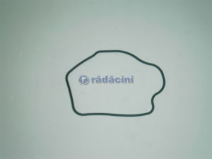 RACIRE SI CLIMATIZARE - Inel termostat cod 09157001