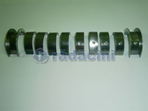MOTOR SI ACCESORII MOTOR - Set cuzineti palier R1(025) /18 cod 92067469