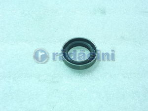 TRANSMISIE - Simering priza cv cod 25189395