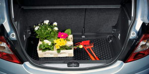 Accesorii - TAVA PORTBAGAJ - CD,CE / 1722338 93199292