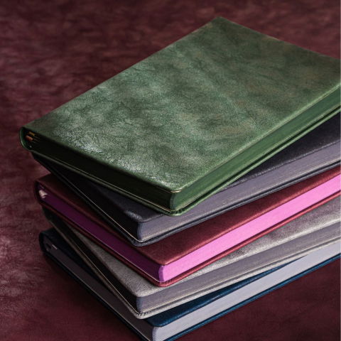 Agende datate - Agenda datata Paje