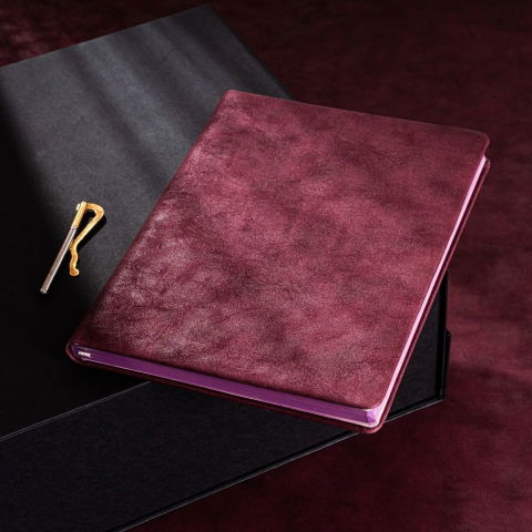 Agende nedatate - Agenda nedatata Paje