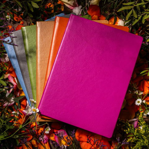 Agende nedatate - Agenda nedatata Zen