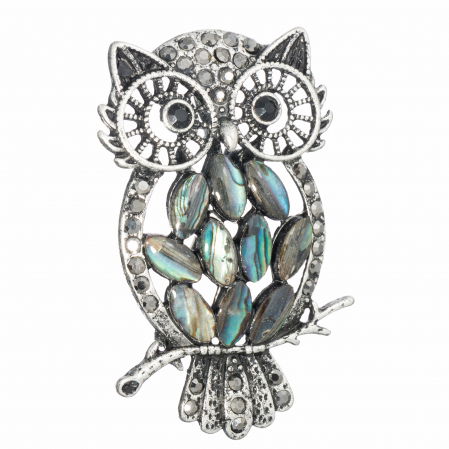 Broșe - Brosa pandant argintie cu scoica naturala paua shell si pietricele argintii, bufnita