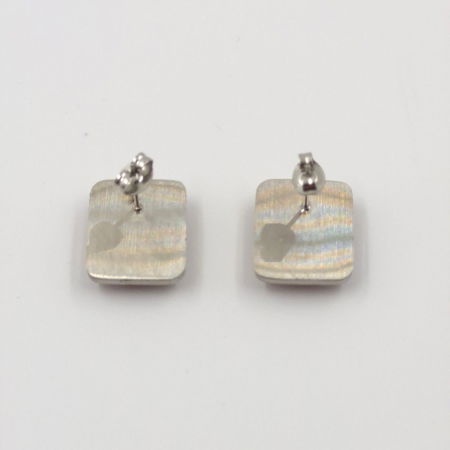 Cercei eleganti din otel inoxidabil cu paua shell multicolor [1]