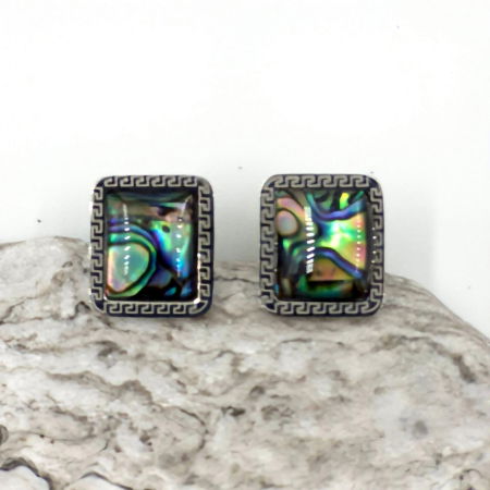 Cercei - Cercei eleganti din otel inoxidabil cu paua shell multicolor