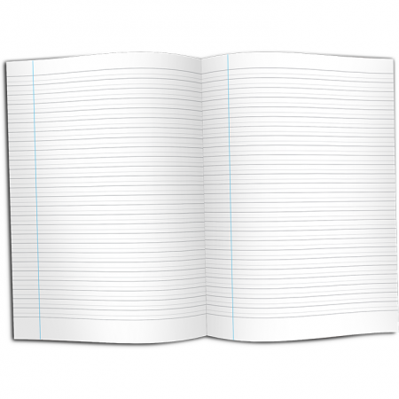 SCOALA SI GRADINITA - CAIET Dictando Special NumLit CD