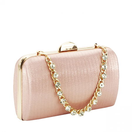 Clutch - Geanta clutch sampanie BJH-22703 05