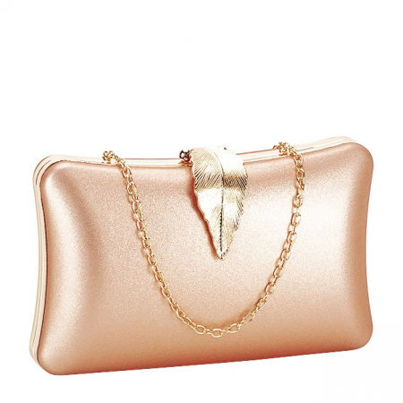 Clutch - Geanta clutch sampanie simplu BME-600  05