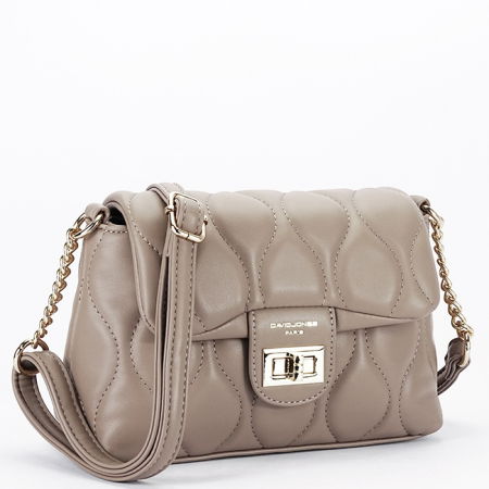 Geanta mica taupe David Jones CM6700H 129