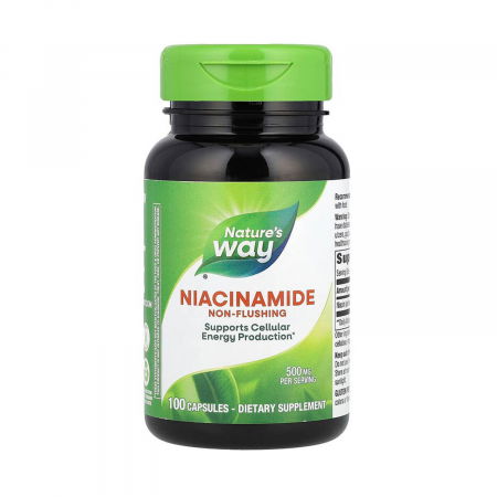 Niacina si Niacimanida (Vitamina B3) - niacinamide-non-flushing-natures-way