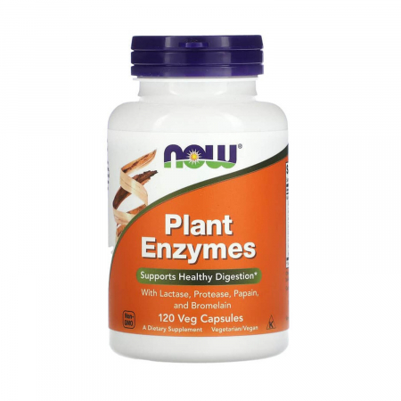 CATEGORII AFECTIUNI - plant-enzymes-now-foods