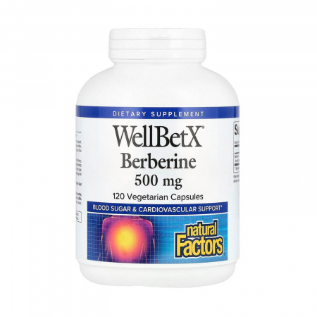 Natural Factors - berberine-natural-factors