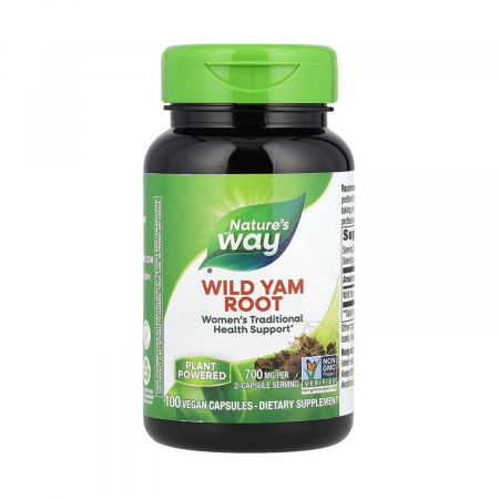 CATEGORII AFECTIUNI - wild-yam-root-natures-way