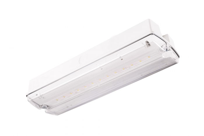 Lampa exit IP65, functionare mentinut, autonomie 3h, cu test manual, 8W, 5000K, Intelight 91805 [2]