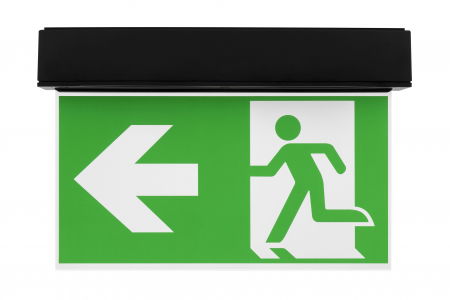 evacuare - Lampa exit IP54, aparenta, 3h, 5W, permanent, test automat, Intelight 93994