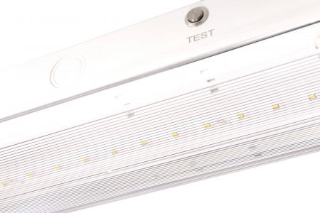 Lampa exit IP65, functionare mentinut, autonomie 3h, cu test manual, 3.5W, 5000K, Intelight 91895 [5]