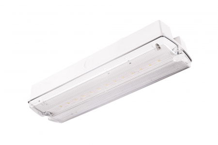 Lampa exit IP65, functionare mentinut, autonomie 3h, cu test manual, 8W, 5000K, Intelight 91805 [1]