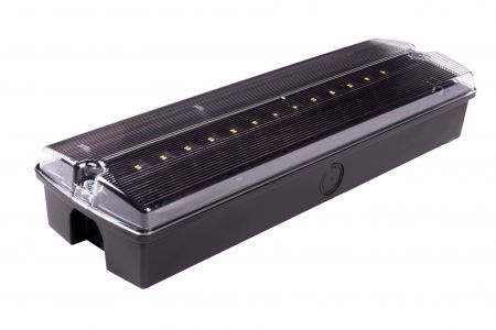 evacuare - Lampa exit IP65, functionare nementinut, autonomie 3h, cu test manual, 2W, 5000K, Intelight 89709