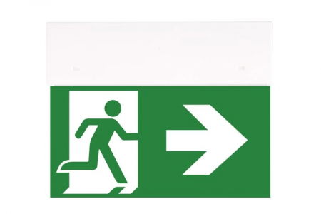 evacuare - Lampa iluminat evacuare directional, alba, aparenta, 3 ore, 2.5W, nementinut, test manual, IP20,  Intelight 90284