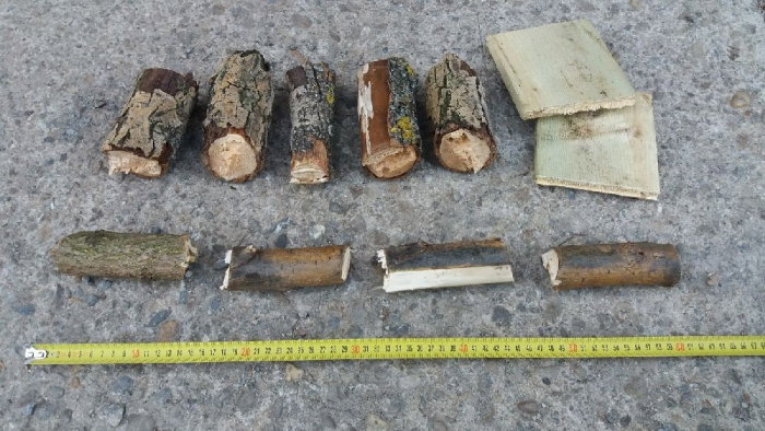 Tocător crengi REMET RS 80, 7 CP, 70 mm [11]