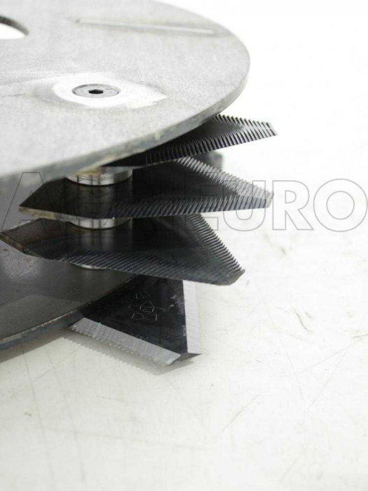 Tocator de crengi si resturi vegetale pe benzina, Ceccato Olindo  TRIHBIG [7]