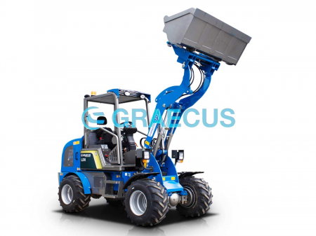 Încărcător Frontal LD11, Motor Diesel Yunnei 26 CP [3]