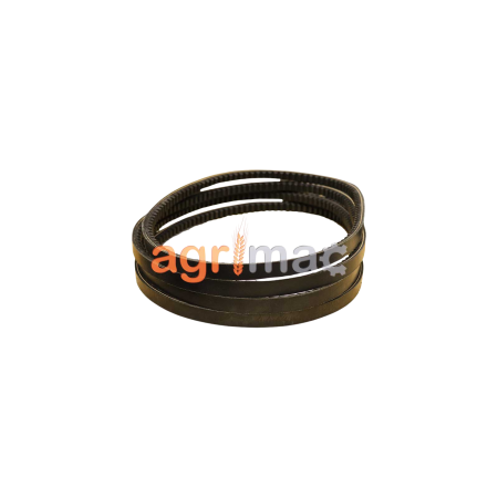 Set 4 curele zimțate pentru tocătoare BPK200 / BPK220