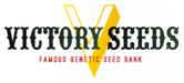 Victory Seeds