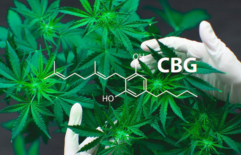 Canabigerolul - CBG