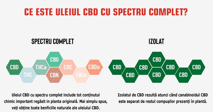 Tipuri de ulei CBD: Full Spectrum, Larg sau Izolat?