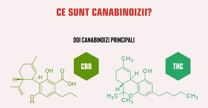 Ce sunt canabinoizii?