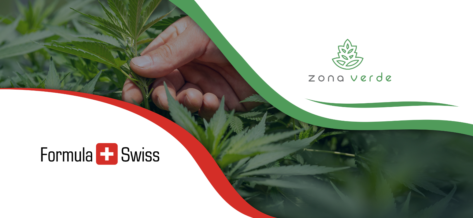Zona Verde in parteneriat cu Formula Swiss