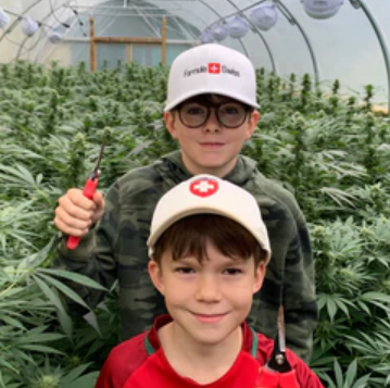 Sera cannabis Formula Swiss