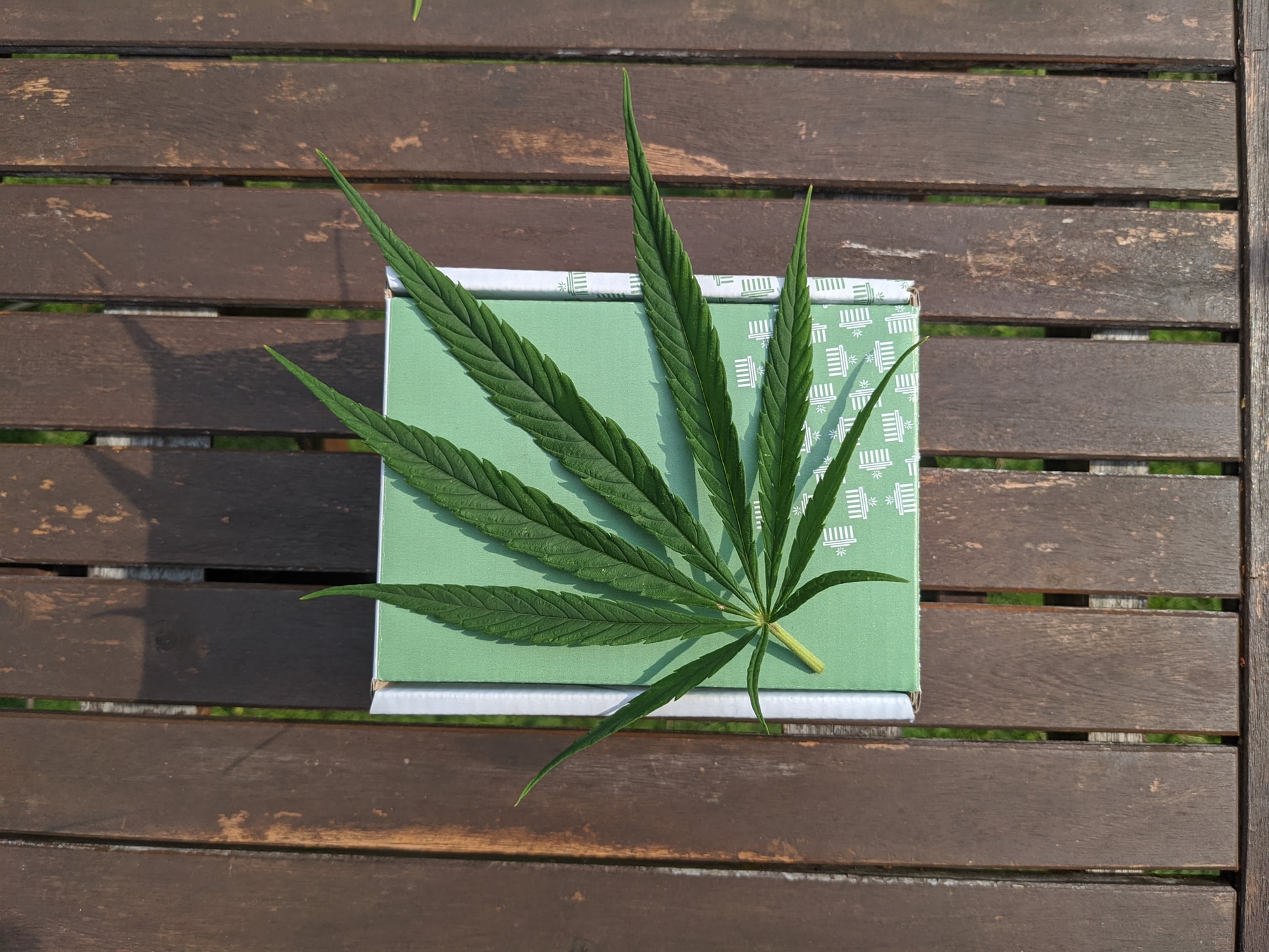 Tu stii diferenta dintre uleiul CBD si uleiul din seminte de canepa?