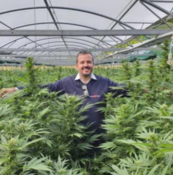 Ferma cannabis Formula Swiss
