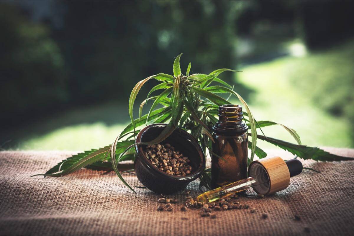 Ulei CBD, beneficii si motivele din spatele popularitatii sale – ce inovatii aduce pe piata in prezent?
