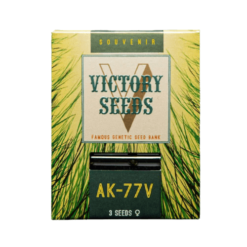 Seminte Canabis AK-77V Feminized [1]