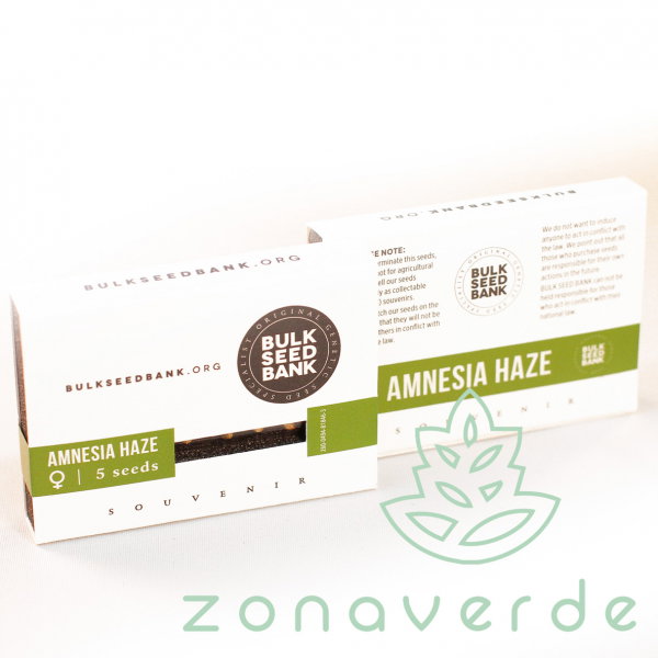 Seminte Canabis Amnesia Haze Feminized [1]
