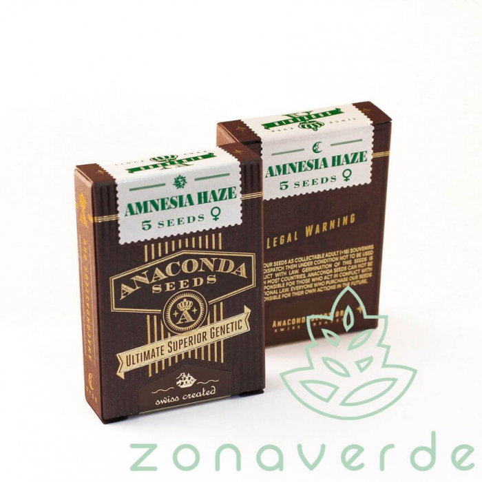 Seminte Canabis Amnesia Haze Feminized [1]