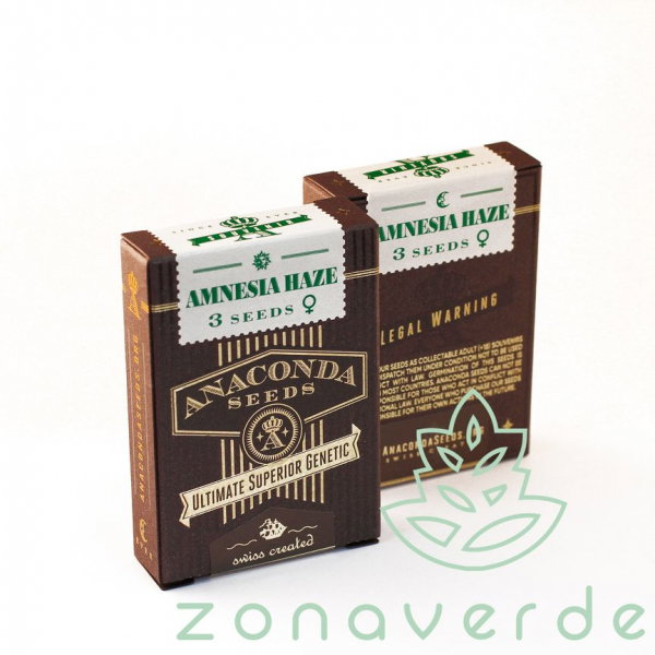 Seminte Canabis Amnesia Haze Feminized [1]