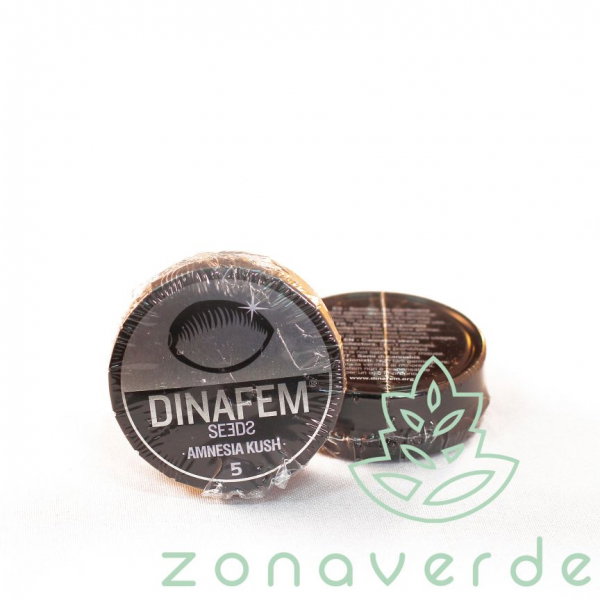 Seminte Canabis Amnesia Kush Feminized, 5 seminte [1]