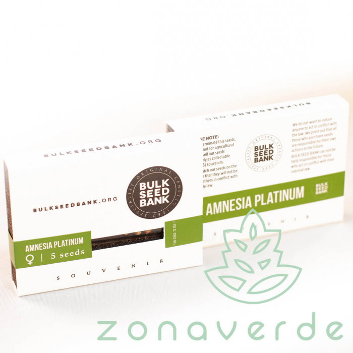 Seminte Canabis Amnesia Platinum Feminized [1]