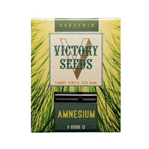 Seminte Canabis Amnesium Feminized [1]