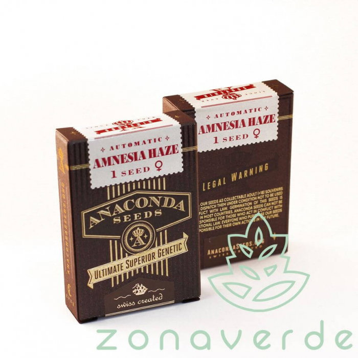 Seminte Cannabis Auto Amnesia Haze Feminized [1]