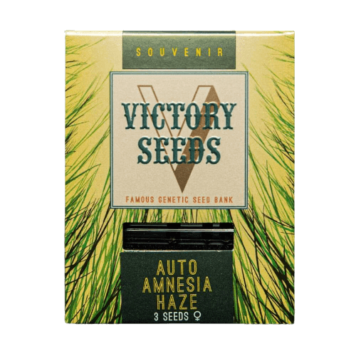 Seminte Cannabis Auto Amnesia Haze Feminized [1]